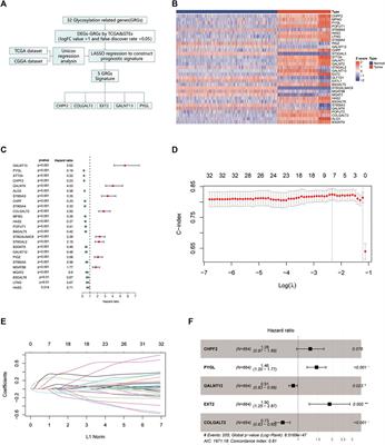 A glycosylation-related gene signature predicts prognosis, immune microenvironment infiltration, and drug sensitivity in glioma